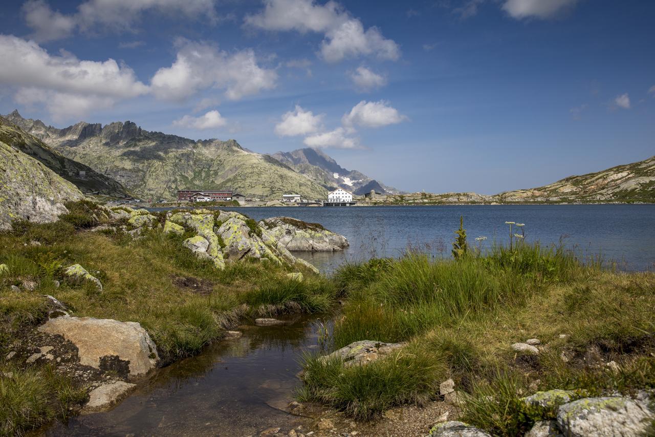 Hotel Grimsel Passhoehe 오버발트 외부 사진