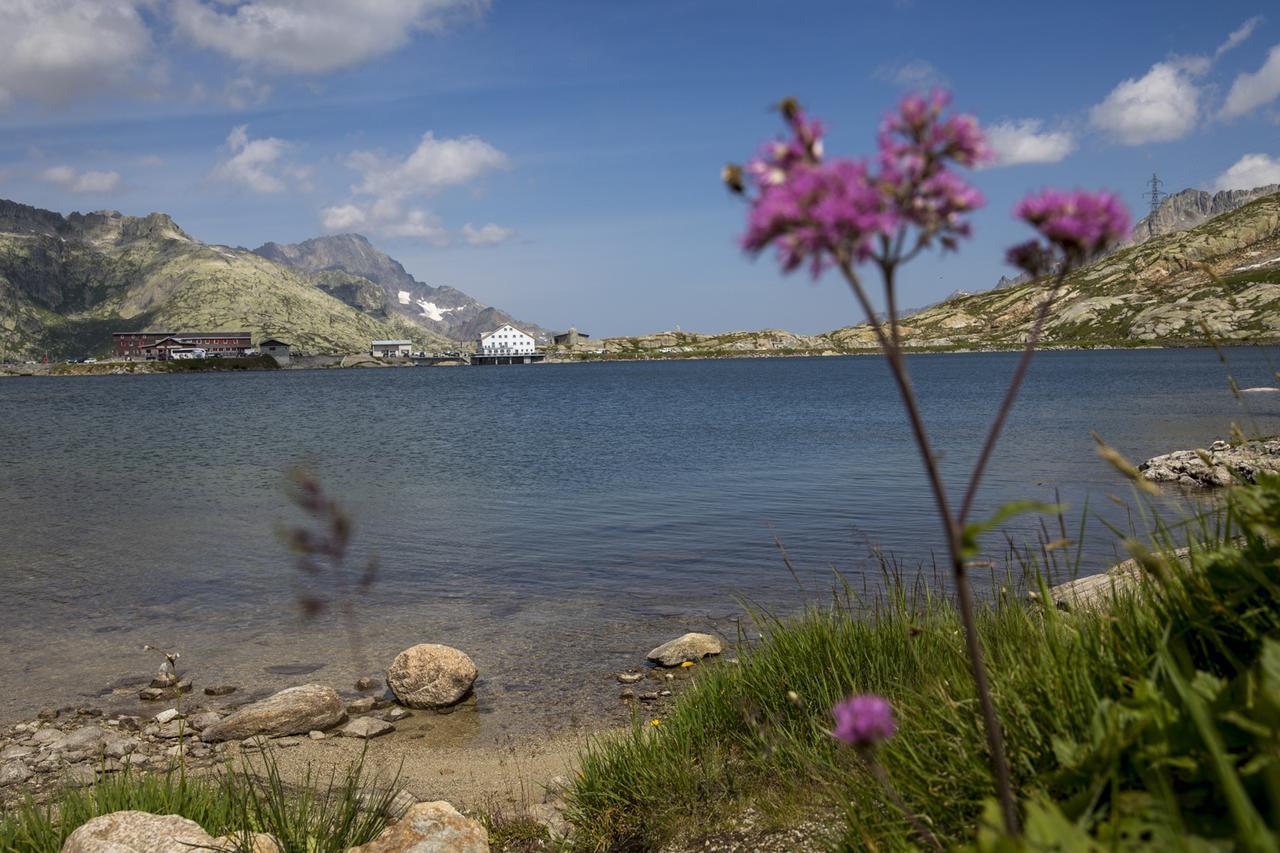 Hotel Grimsel Passhoehe 오버발트 외부 사진