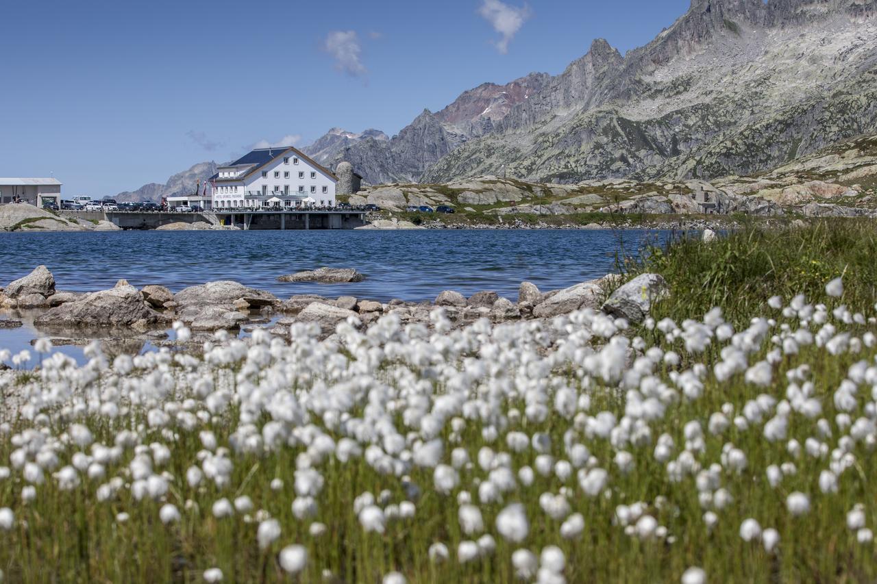 Hotel Grimsel Passhoehe 오버발트 외부 사진